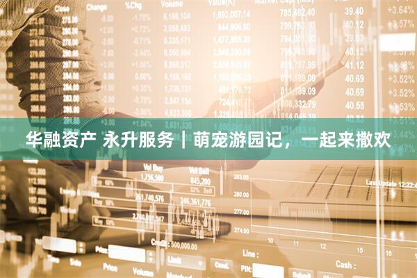 华融资产 永升服务｜萌宠游园记，一起来撒欢